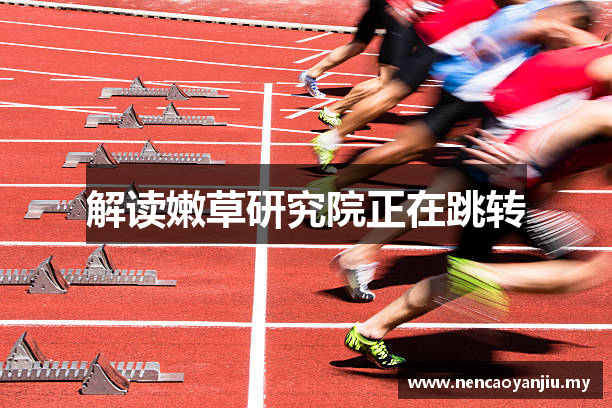 解读嫩草研究院正在跳转